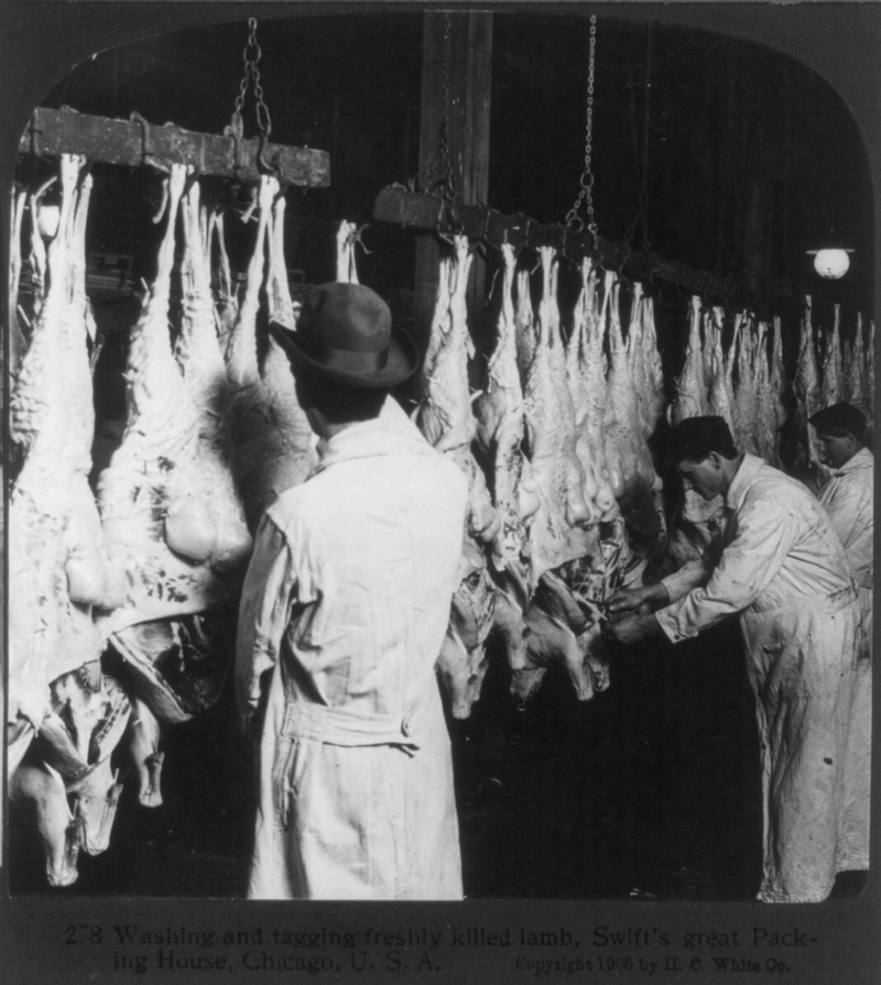 Illustration for article titled Utterly Disturbing, Century-Old Photos of Meat-Packing Facilities